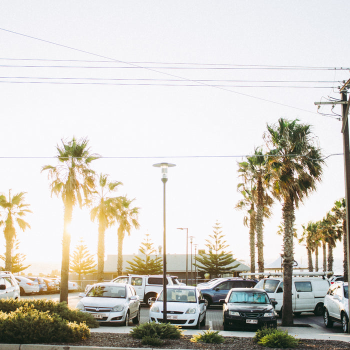 parking lot and palm trees