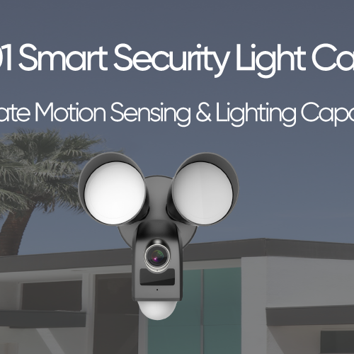 NLC101 Smart Security Light Camera