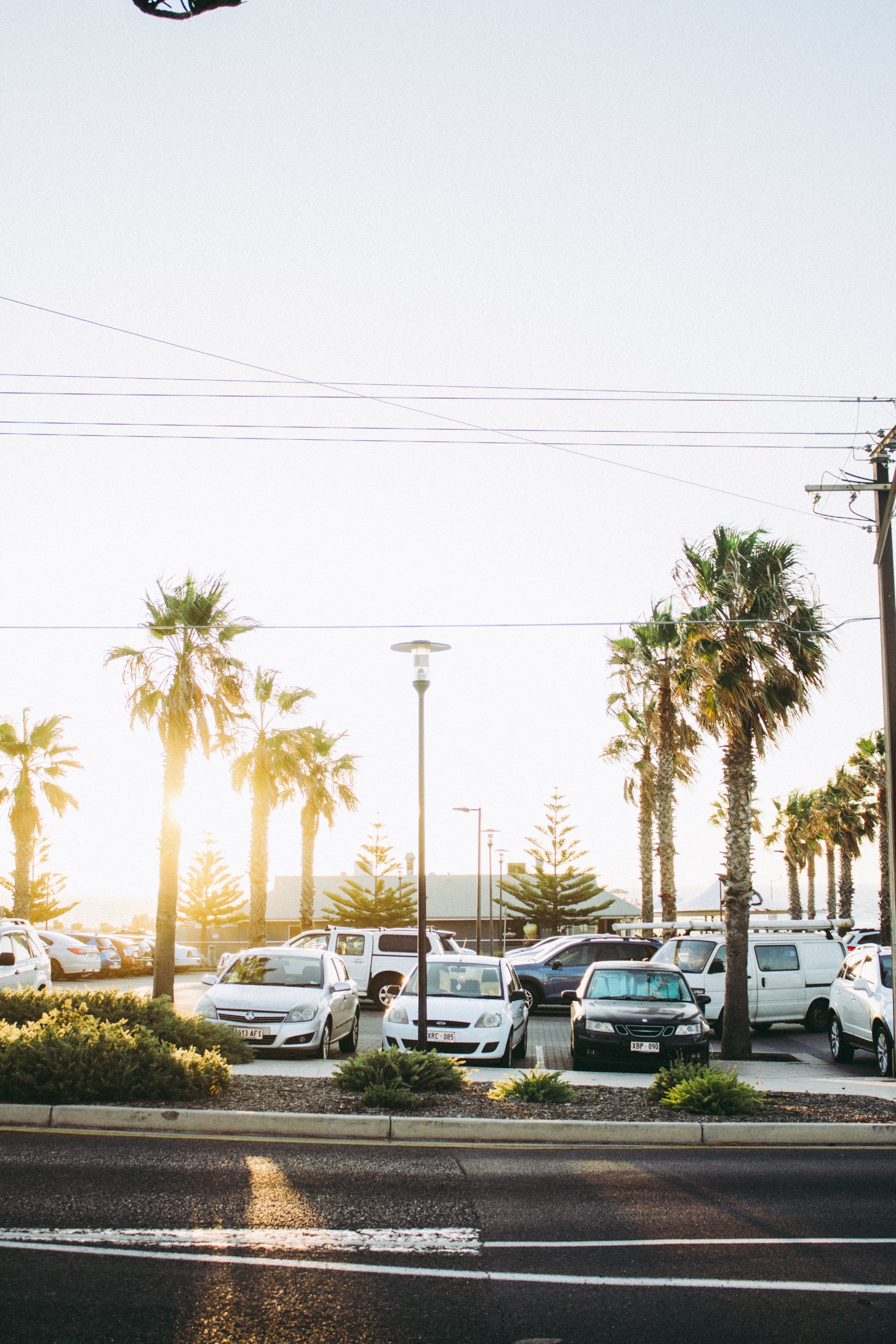 parking lot and palm trees